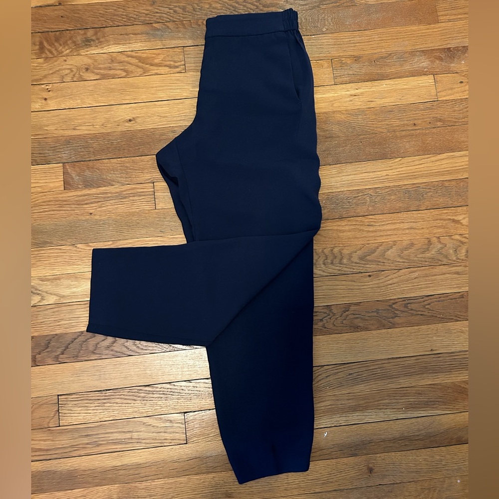 JCrew Blue Jamie Pant